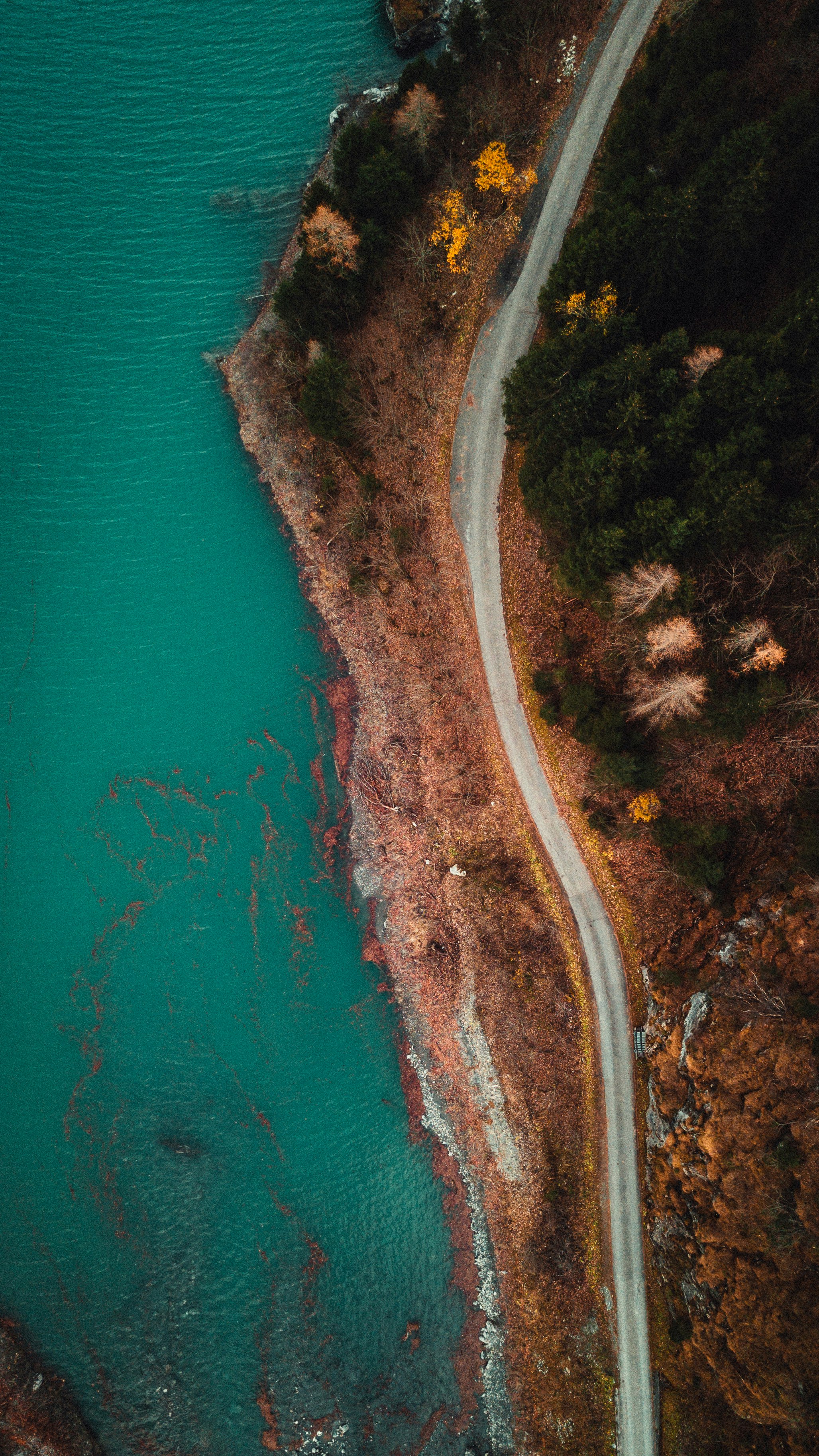 aerial photography of road near body of water